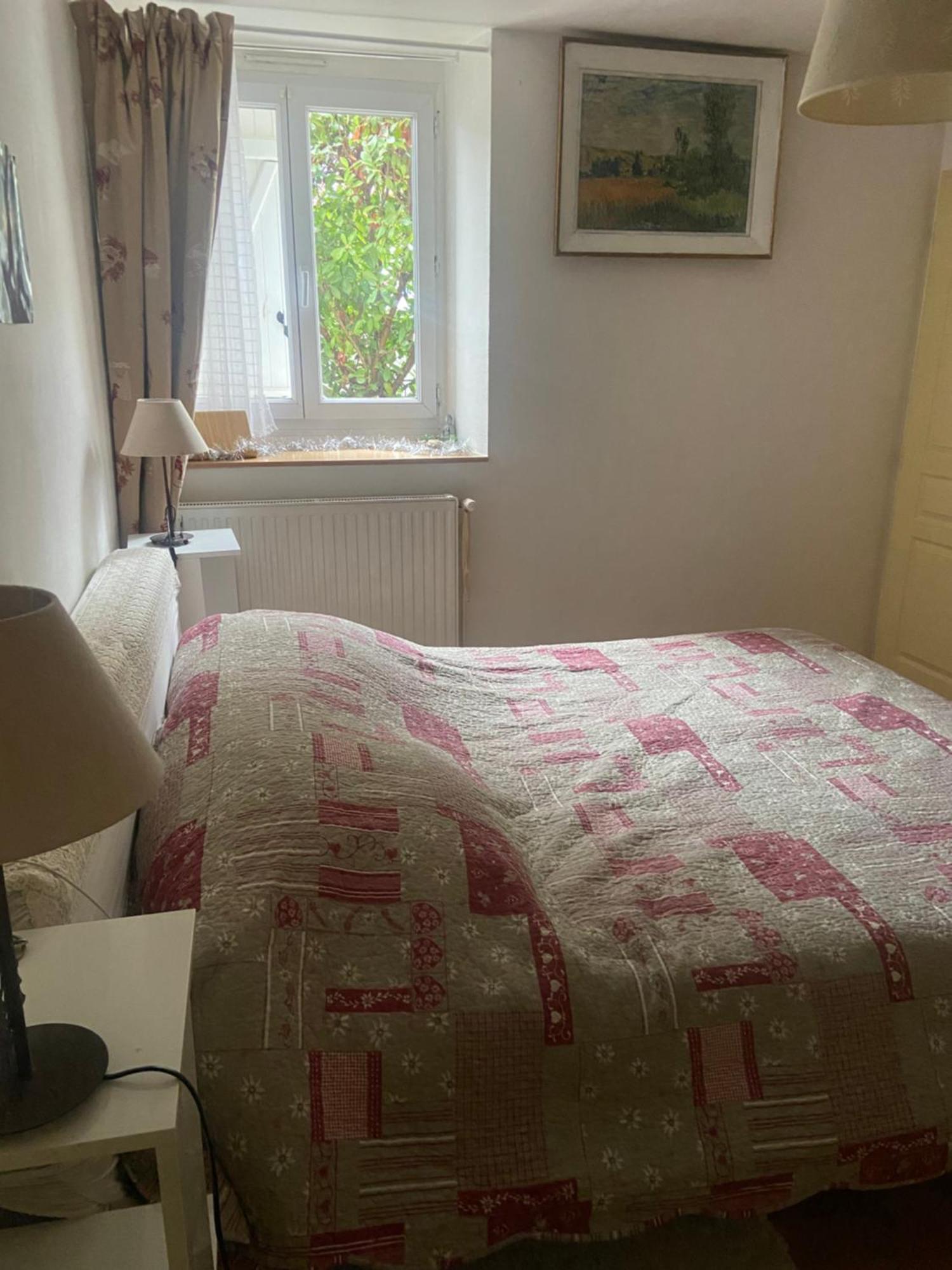 Les Lucioles Apartment Thonon-les-Bains Bagian luar foto