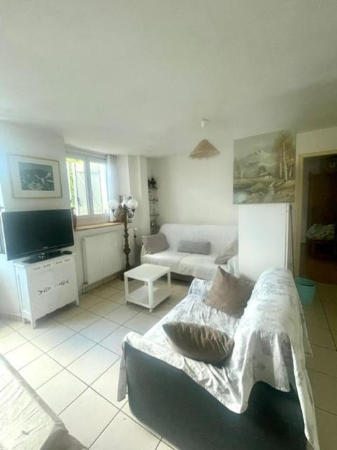 Les Lucioles Apartment Thonon-les-Bains Bagian luar foto
