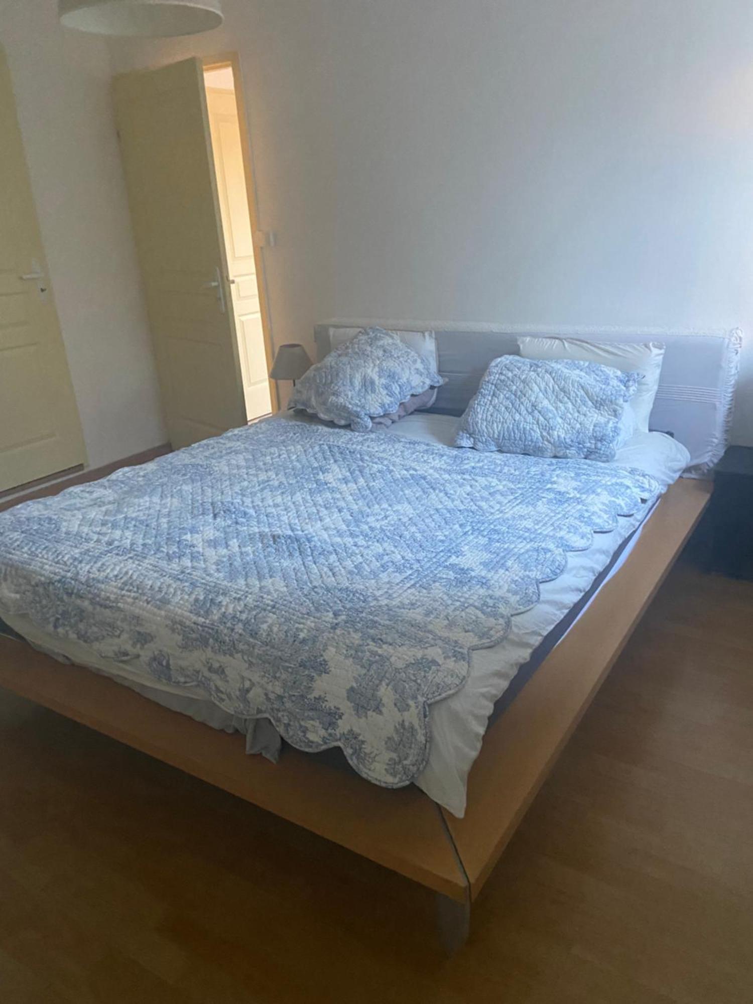 Les Lucioles Apartment Thonon-les-Bains Bagian luar foto