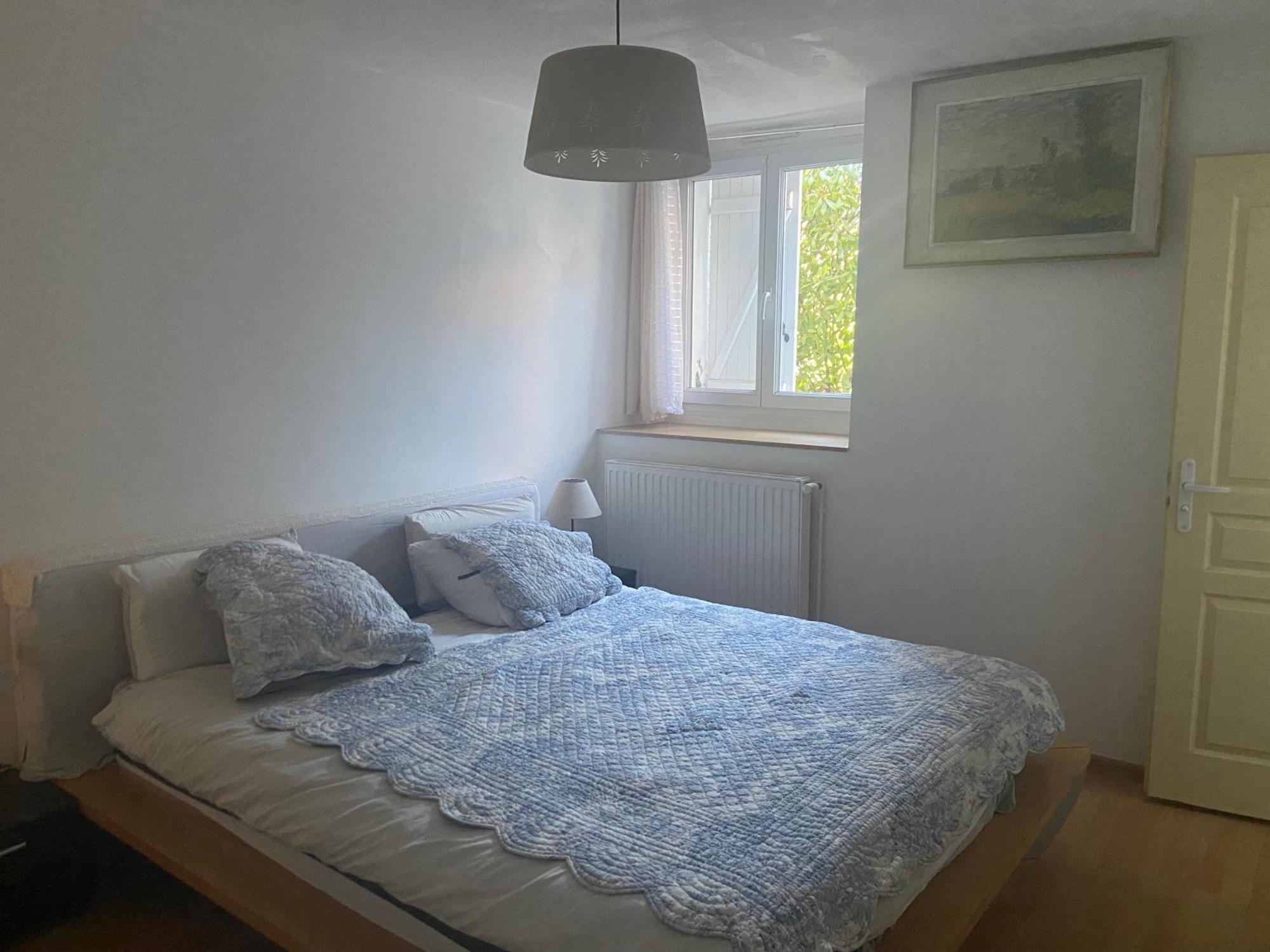Les Lucioles Apartment Thonon-les-Bains Bagian luar foto